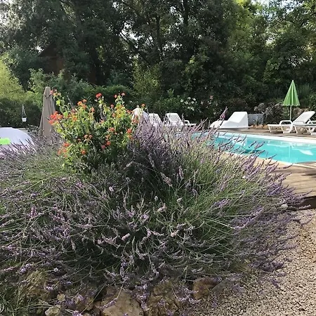 Villa Oha Close Cannes,nice, Valbonne , Opio