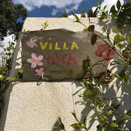 Oha Close Cannes,nice, Valbonne , Opio